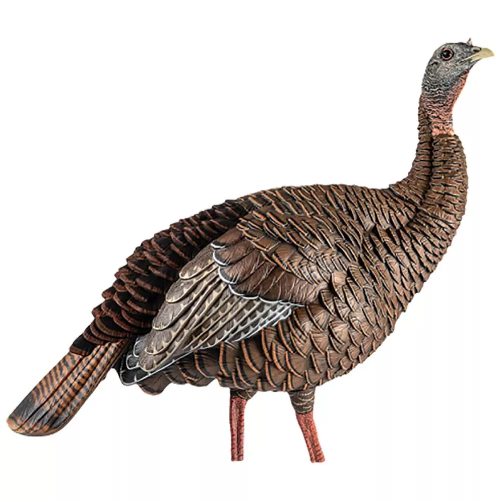 Avian X HDR Hen Turkey Decoy