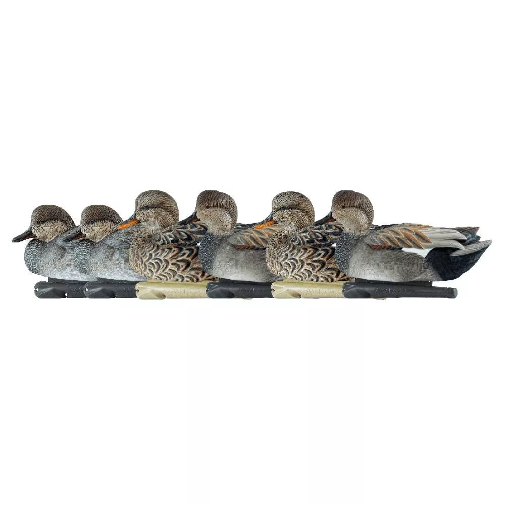 Avian-X Topflight Decoys Gadwall 6/ct