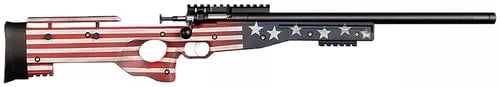 Crickett Precision Old Glory R