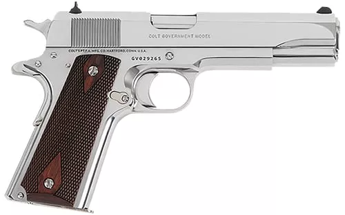 GOVERNMENT 45ACP BRIGHT SS 5"