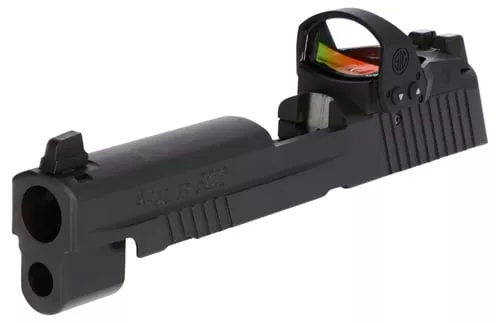 Sig Sauer 8900312 P226 RXP Sli