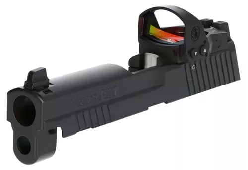 Sig Sauer 8900313 P229 RXP Sli