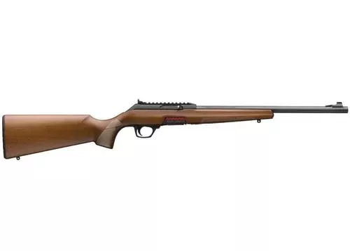 WINCHESTER WILDCAT SPORTER 22L
